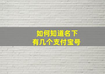 如何知道名下有几个支付宝号