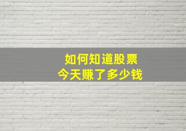 如何知道股票今天赚了多少钱