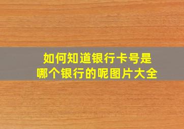 如何知道银行卡号是哪个银行的呢图片大全