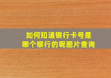 如何知道银行卡号是哪个银行的呢图片查询