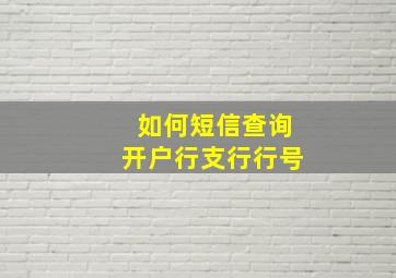 如何短信查询开户行支行行号