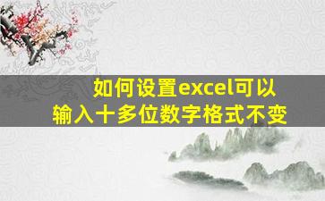 如何设置excel可以输入十多位数字格式不变