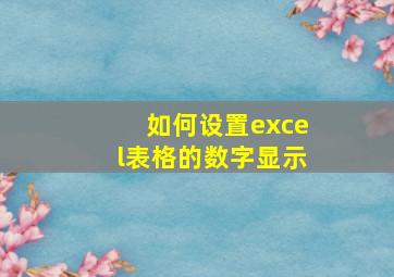 如何设置excel表格的数字显示