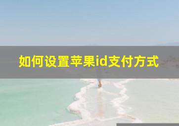 如何设置苹果id支付方式