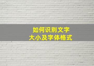 如何识别文字大小及字体格式