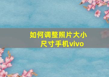 如何调整照片大小尺寸手机vivo