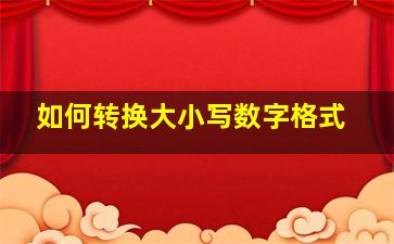 如何转换大小写数字格式