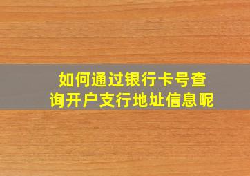 如何通过银行卡号查询开户支行地址信息呢