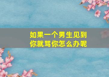 如果一个男生见到你就骂你怎么办呢