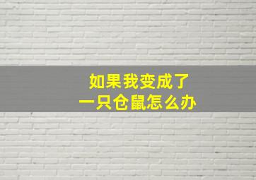 如果我变成了一只仓鼠怎么办