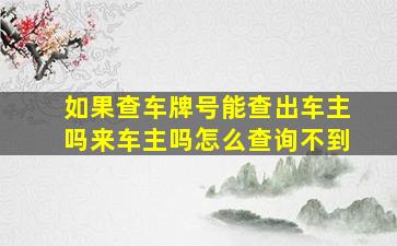 如果查车牌号能查出车主吗来车主吗怎么查询不到