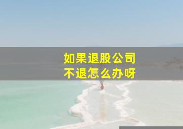 如果退股公司不退怎么办呀