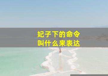 妃子下的命令叫什么来表达