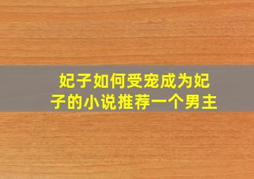 妃子如何受宠成为妃子的小说推荐一个男主