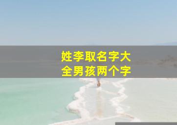 姓李取名字大全男孩两个字