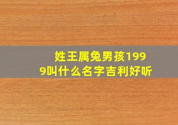 姓王属兔男孩1999叫什么名字吉利好听