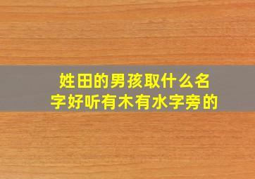 姓田的男孩取什么名字好听有木有水字旁的