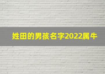 姓田的男孩名字2022属牛