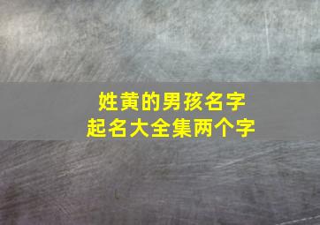 姓黄的男孩名字起名大全集两个字