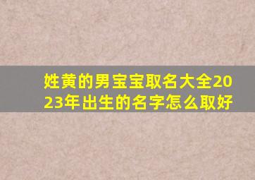 姓黄的男宝宝取名大全2023年出生的名字怎么取好