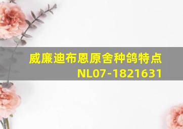 威廉迪布恩原舍种鸽特点NL07-1821631