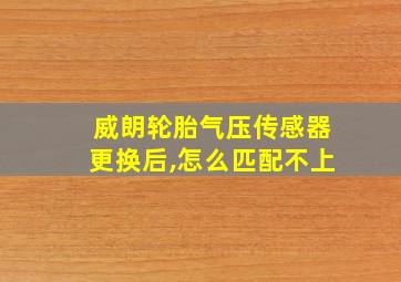 威朗轮胎气压传感器更换后,怎么匹配不上