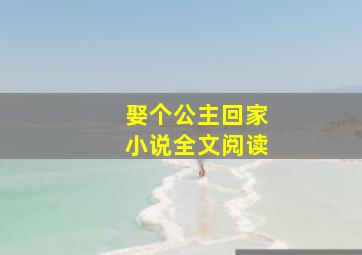 娶个公主回家小说全文阅读