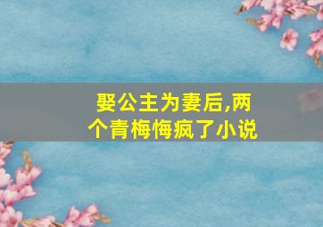 娶公主为妻后,两个青梅悔疯了小说