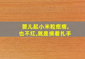 婴儿起小米粒疙瘩,也不红,就是摸着扎手