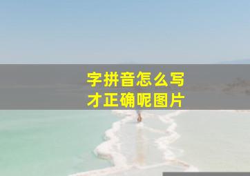 字拼音怎么写才正确呢图片