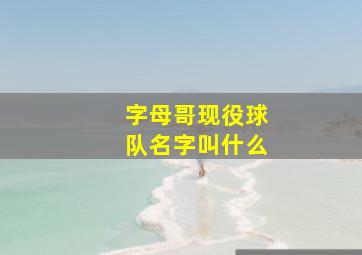 字母哥现役球队名字叫什么