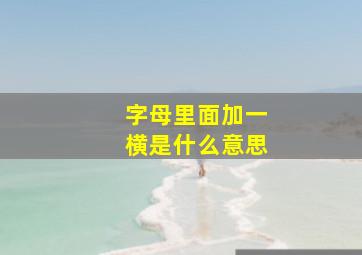 字母里面加一横是什么意思