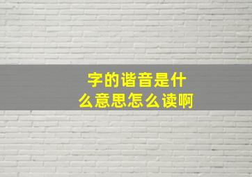 字的谐音是什么意思怎么读啊