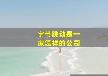 字节跳动是一家怎样的公司