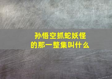 孙悟空抓蛇妖怪的那一整集叫什么