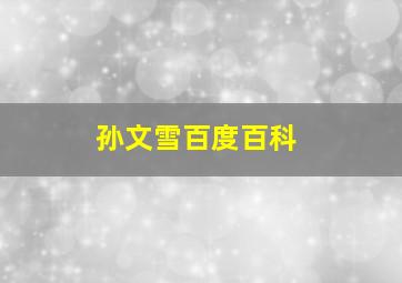 孙文雪百度百科