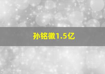 孙铭徽1.5亿