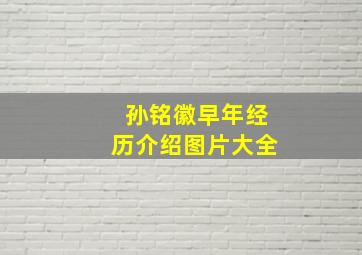 孙铭徽早年经历介绍图片大全