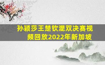 孙颖莎王楚钦混双决赛视频回放2022年新加坡