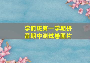 学前班第一学期拼音期中测试卷图片