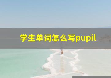 学生单词怎么写pupil