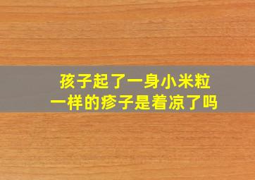 孩子起了一身小米粒一样的疹子是着凉了吗