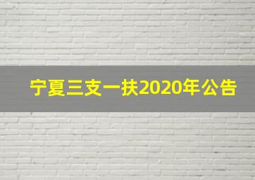 宁夏三支一扶2020年公告