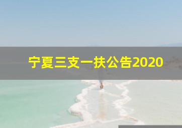 宁夏三支一扶公告2020