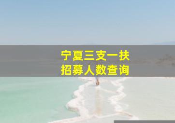 宁夏三支一扶招募人数查询