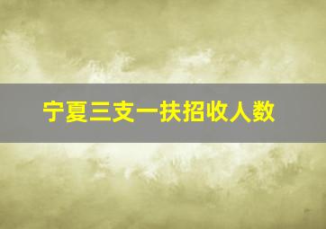 宁夏三支一扶招收人数