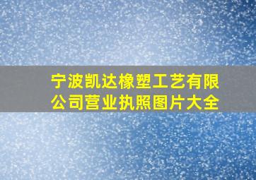 宁波凯达橡塑工艺有限公司营业执照图片大全