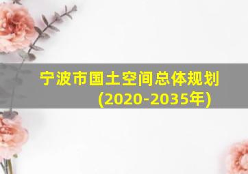 宁波市国土空间总体规划(2020-2035年)