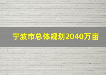 宁波市总体规划2040万亩