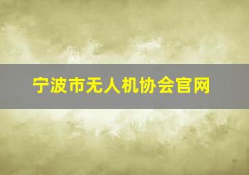 宁波市无人机协会官网